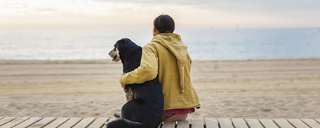 Person and there dog sitting on board walk